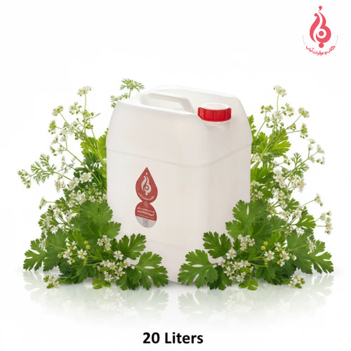 خرید عمده گالن ۲۰ لیتری عرق گشنیز سنگین ارگانیک لباب ـ دوآتیشه و خالص صادراتی خنککننده و ضدنفخ Wholesale 20L organic heavy Coriander distillate by Lobab Kashan ـ export digestive & cooling tonic
